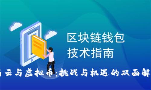马云与虚拟币：挑战与机遇的双面解析