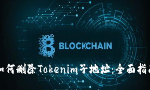 如何删除Tokenim子地址：全面指南
