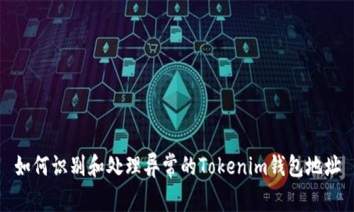 如何识别和处理异常的Tokenim钱包地址