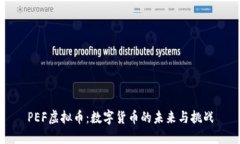 PEF虚拟币：数字货币的未来与挑战