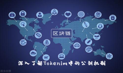 深入了解Tokenim中的公钥机制