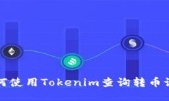 如何使用Tokenim查询转币记录