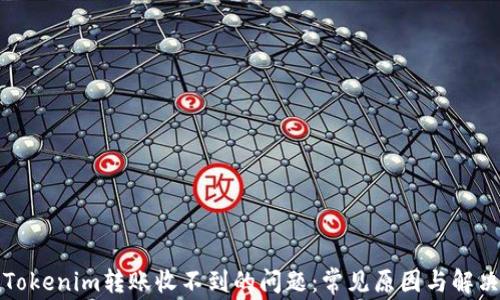 
解决Tokenim转账收不到的问题：常见原因与解决方案