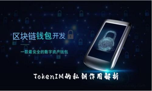 TokenIM的私钥作用解析