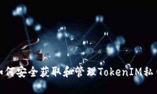 如何安全获取和管理TokenIM私钥