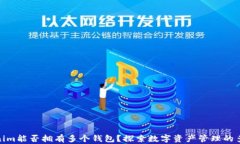 Tokenim能否拥有多个钱包？探索数字资产管理的多