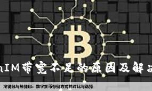 TokenIM带宽不足的原因及解决方案