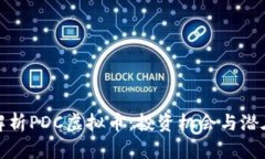 深入解析PDC虚拟币：投资机会与潜在风险