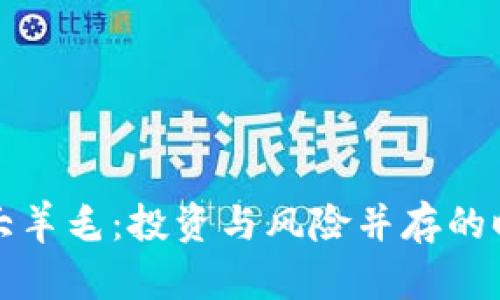 虚拟币大羊毛：投资与风险并存的时代选择
