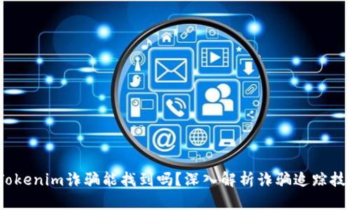 :Tokenim诈骗能找到吗？深入解析诈骗追踪技术