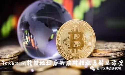 Tokenim转错地址后的应对措施与解决方案