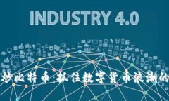 虚拟炒比特币：抓住数字货币浪潮的机会