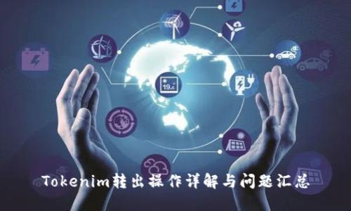 Tokenim转出操作详解与问题汇总