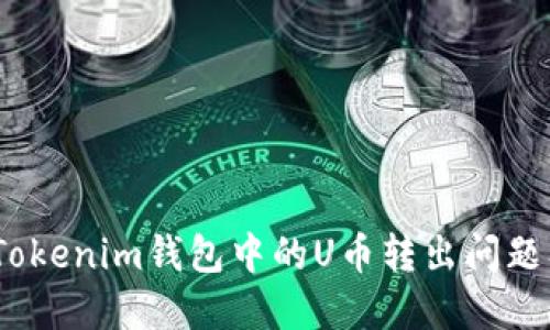 深入探讨：Tokenim钱包中的U币转出问题及解决方案