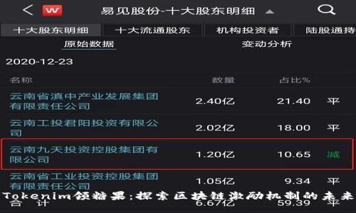 Tokenim领糖果：探索区块链激励机制的未来