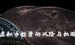 虚拟币投资的风险与机遇