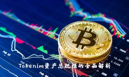 Tokenim资产总规模的全面解析