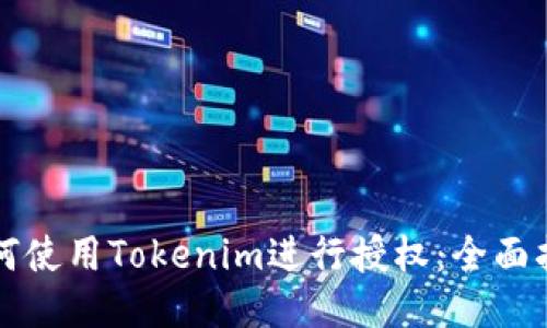 如何使用Tokenim进行授权：全面指南
