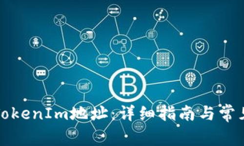 如何设置TokenIm地址：详细指南与常见问题解答