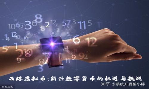 西塔虚拟币：新兴数字货币的机遇与挑战