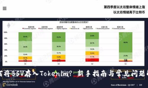 如何将BSV存入Tokenim? 新手指南与常见问题解答