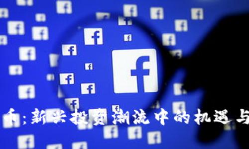 虚拟币：新兴投资潮流中的机遇与挑战