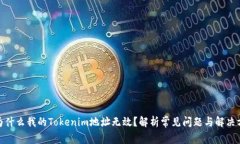 : 为什么我的Tokenim地址无效？解析常见问题与解