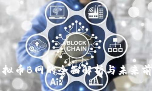 虚拟币B网的全面解析与未来前景