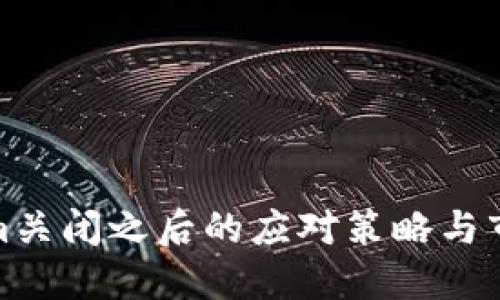 Tokenim关闭之后的应对策略与市民反应