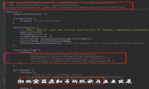 湖北宜昌虚拟币的现状与未来发展