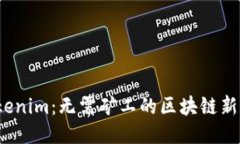  Tokenim：无需矿工的区块链新时代
