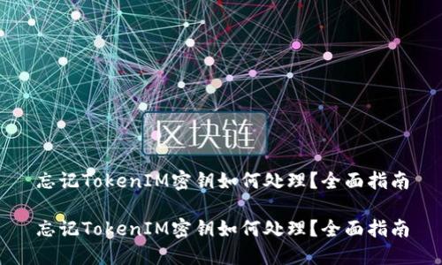 忘记TokenIM密钥如何处理？全面指南

忘记TokenIM密钥如何处理？全面指南