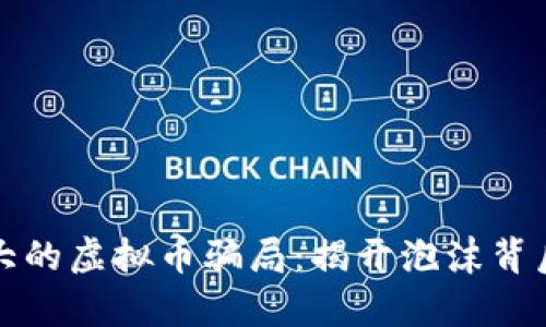 全球最大的虚拟币骗局：揭开泡沫背后的真相