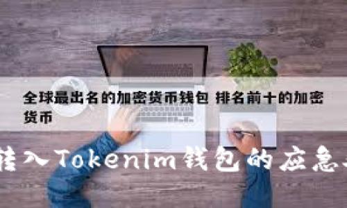 USDT误转入Tokenim钱包的应急处理指南