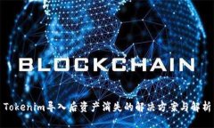 Tokenim导入后资产消失的解决方案与解析
